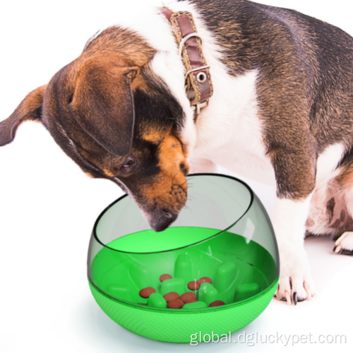 Dog Bowls For Small Dog Dog Bowl to Slow Down Eating Manufactory